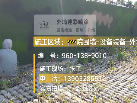 东方外墙迷彩漆材料价约 45-60 元 /k