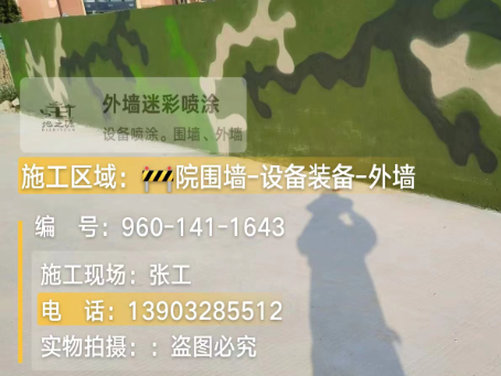 东方 迷彩漆喷涂价格（按平方米计费）