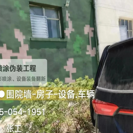 东方数码迷彩漆施工